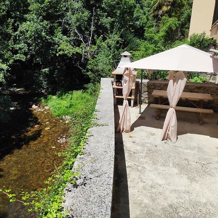 Apartamentos El Rincon De Limes Cangas De Narcea Buitenkant foto
