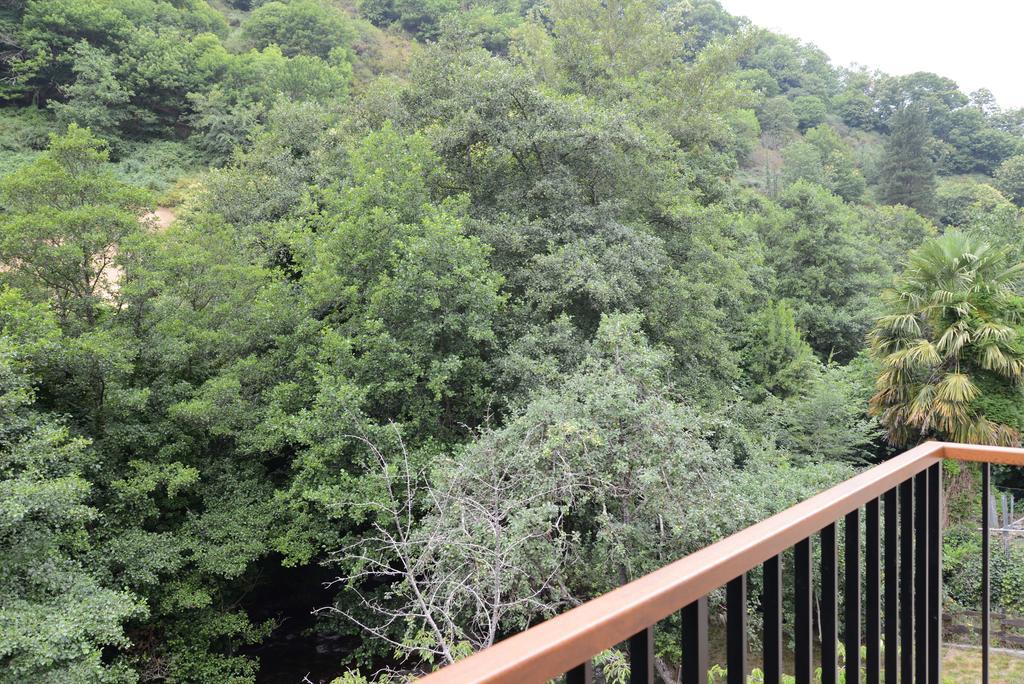Apartamentos El Rincon De Limes Cangas De Narcea Kamer foto