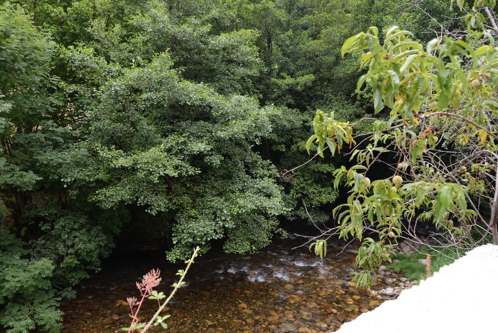 Apartamentos El Rincon De Limes Cangas De Narcea Kamer foto