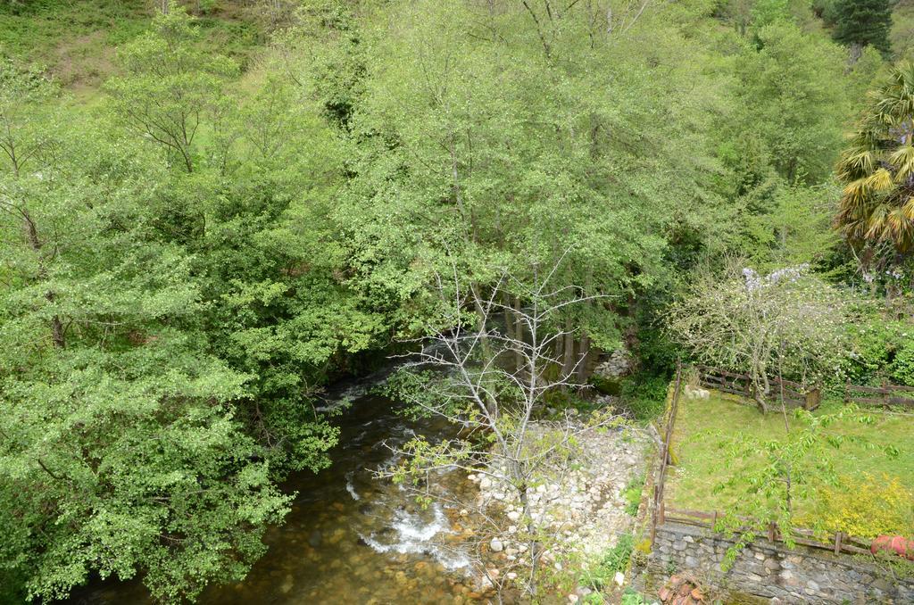 Apartamentos El Rincon De Limes Cangas De Narcea Buitenkant foto