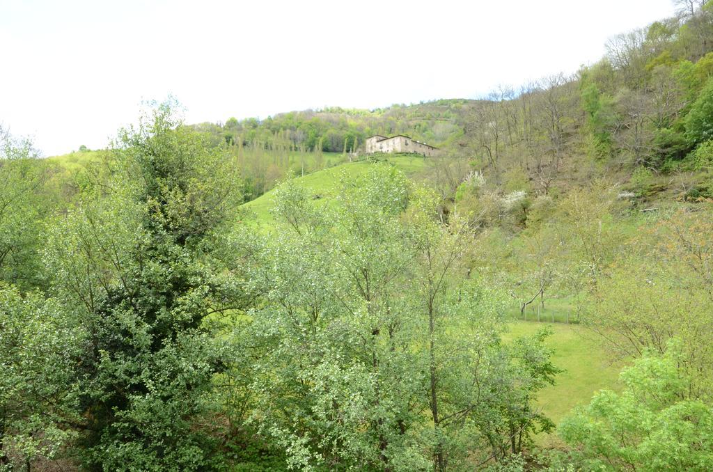 Apartamentos El Rincon De Limes Cangas De Narcea Buitenkant foto