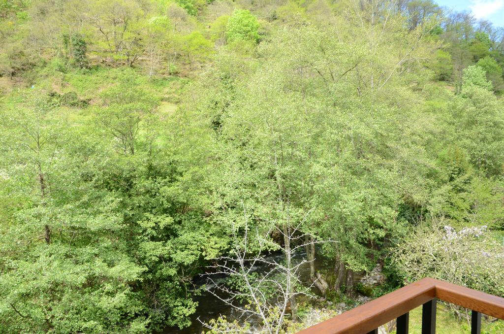 Apartamentos El Rincon De Limes Cangas De Narcea Buitenkant foto