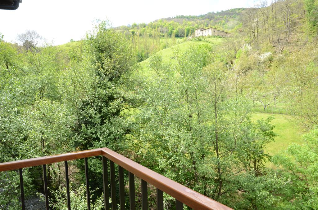 Apartamentos El Rincon De Limes Cangas De Narcea Buitenkant foto